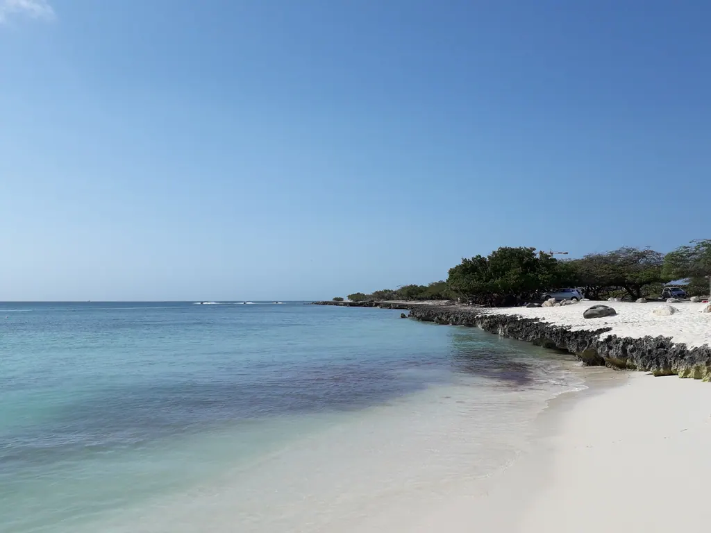 White sand and calm turquoise water at Eagle Beach on Aruba under a clear blue sky